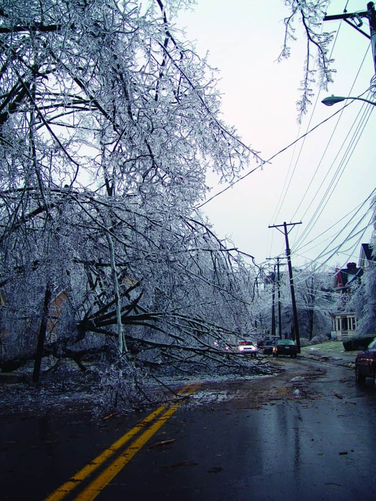 ice trees power lines down