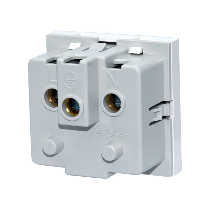 British Standard Double Pole Socket Function Module
